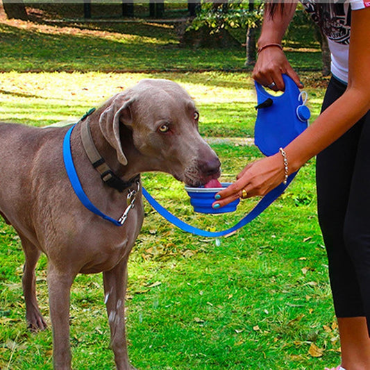 Pack Aventura Total™: Correa Retráctil 5-en-1 con Bebedero + Pelota UFO Voladora de Regalo